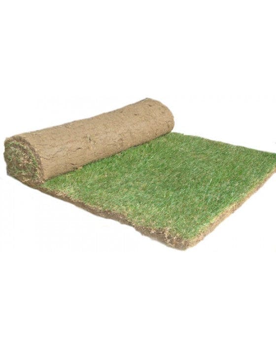 Natural seeded & artificial grass